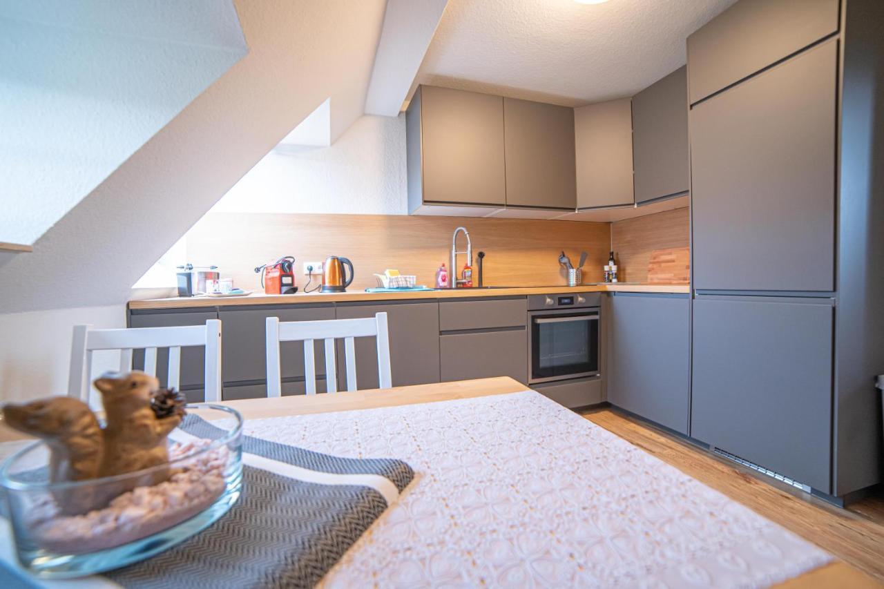 Апартаменты Fullhouse - Zwickau - L8 - Balcony - Smarttv - Nespresso Экстерьер фото